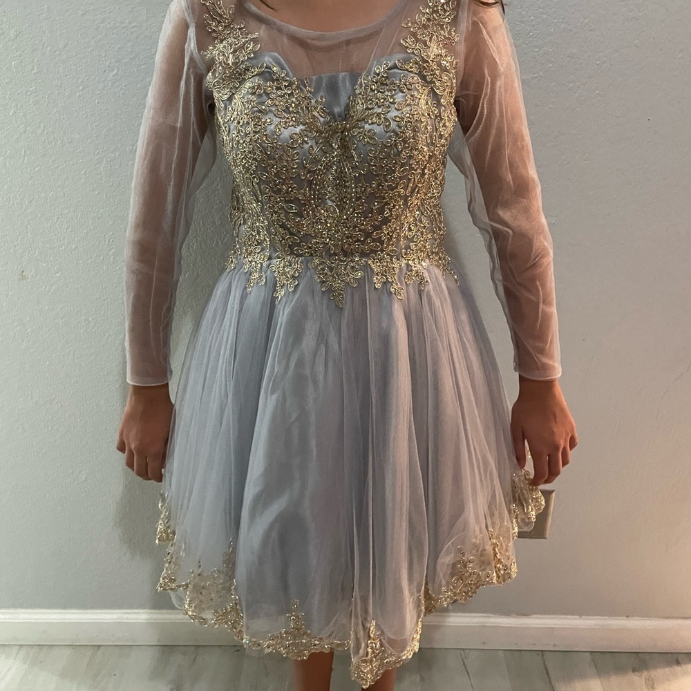 Elegant Gold and Gray Dress